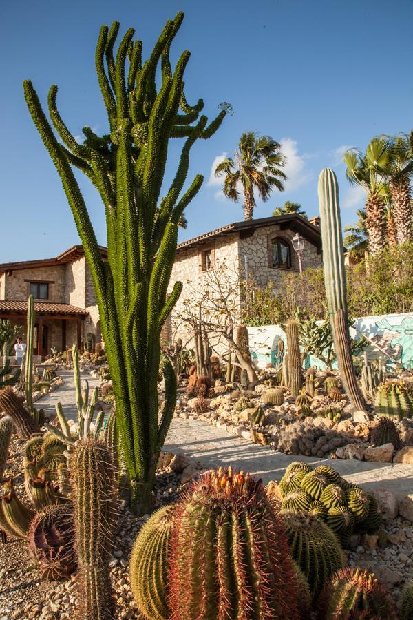 Garden Cactus ξενώνας Villaggio Mosè Εξωτερικό φωτογραφία